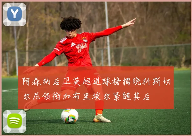 阿森纳后卫英超进球榜揭晓科斯切尔尼领衔加布里埃尔紧随其后