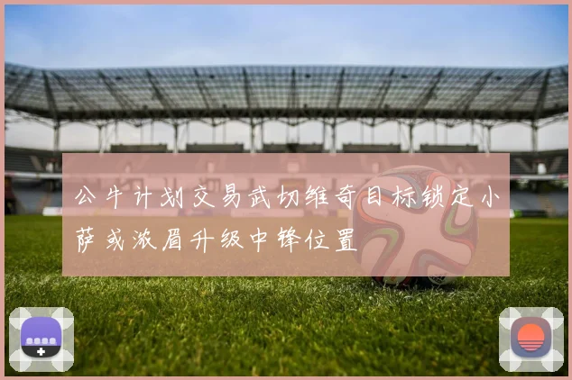 公牛计划交易武切维奇目标锁定小萨或浓眉升级中锋位置