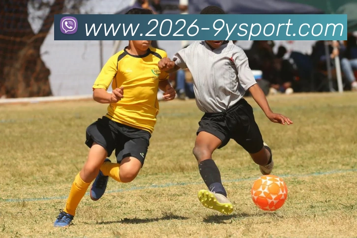 九游体育发展历程